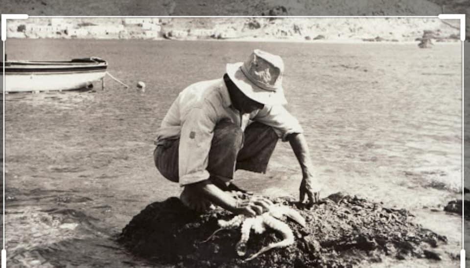 ÎœÎ•Î¡ÎŸÎ Î—: Î'ÎÎ'Î'ÎŸÎ›Î— Î¤Î—Î£ Î•ÎšÎ